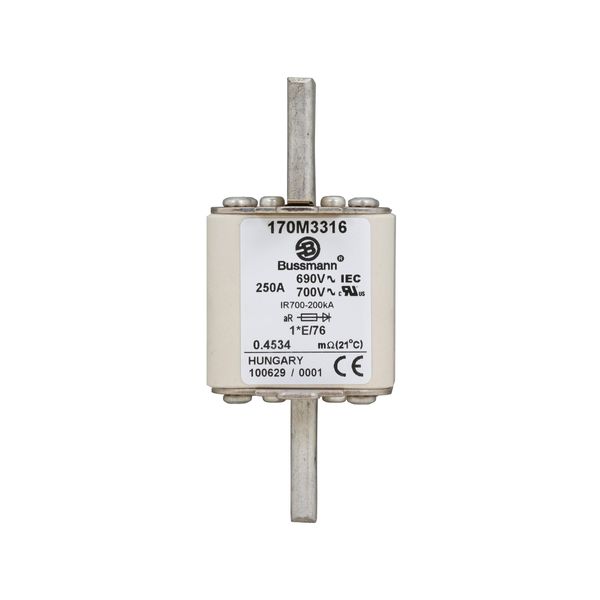 Fuse-link, high speed, 250 A, AC 690 V, compact size 1, 45 x 59 x 102 mm, aR, IEC, UL, visual indicator image 14