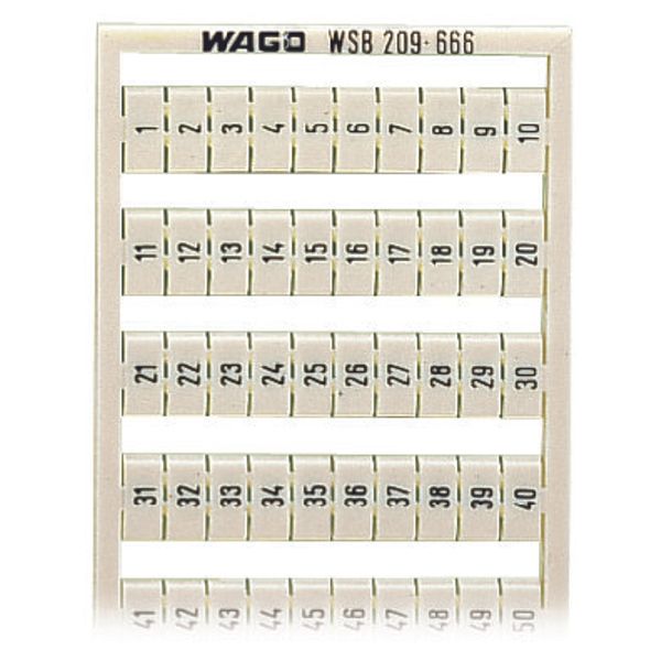 WSB marking card as card MARKED white image 1