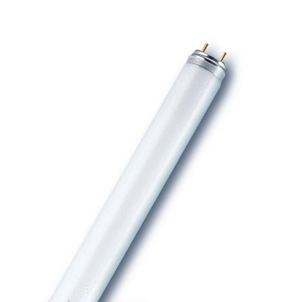 Fluorescent Tube 36W/30 T8 image 1