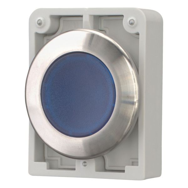 Illuminated pushbutton actuator, RMQ-Titan, flat, momentary, Blue, blank, Front ring stainless steel image 5