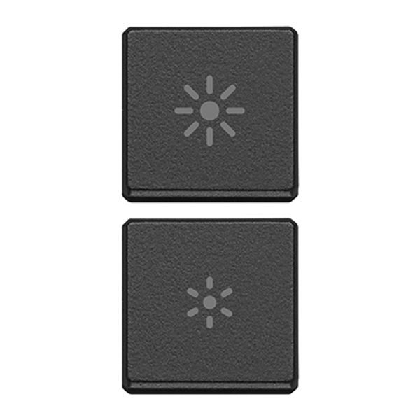 2 buttons Flat regulation symbol grey image 1