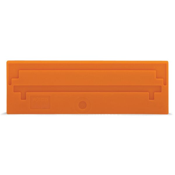 Separator plate 2 mm thick oversized orange image 1