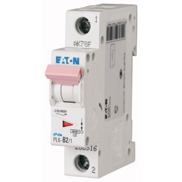 PL6-C8/1 Small circuit breaker, 6kA 1p (instead of 177389) image 2