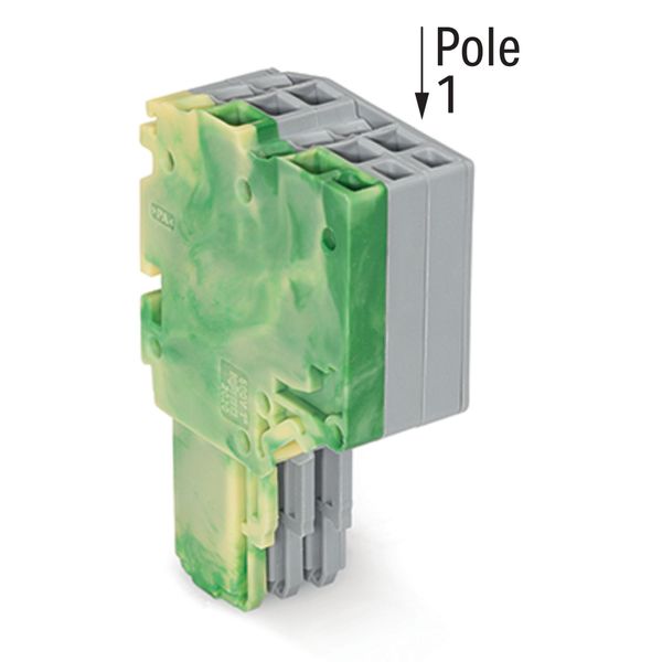 2-conductor female connector Push-in CAGE CLAMP® 1.5 mm² green-yellow/ image 2