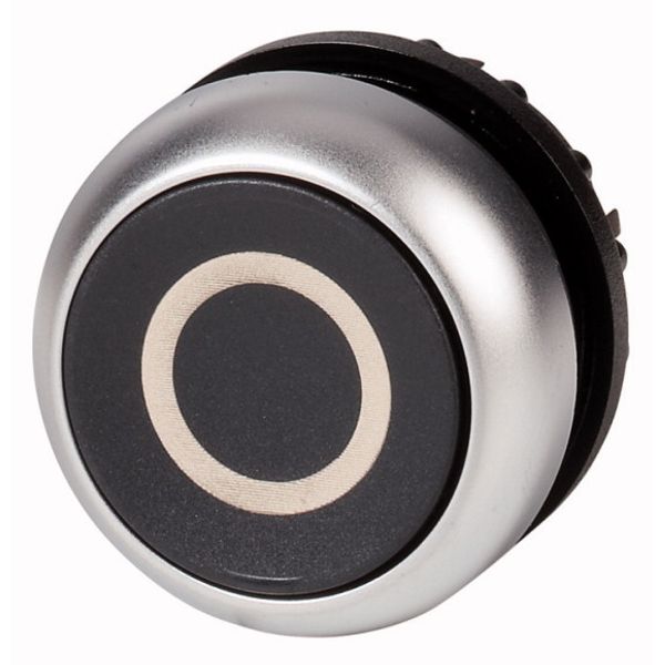 Pushbutton, RMQ-Titan, Flat, maintained, black, inscribed, Bezel: titanium image 1