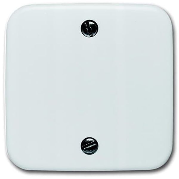 1796-214 CoverPlates (partly incl. Insert) carat® Alpine white image 1