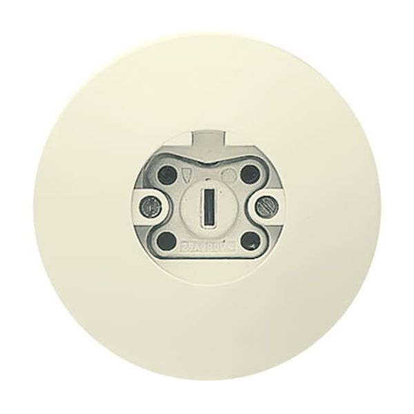 2365 SRW Busch-Perilex® Socket with Protective Contact white image 4