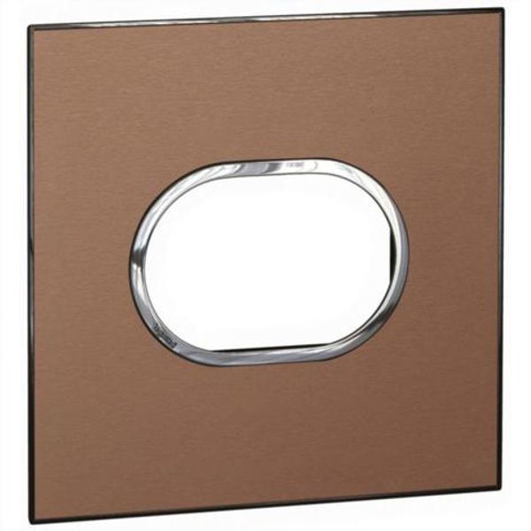 Arteor™ - American and South African standard plate round version 3 modules for 4''x4'' box - Brushed Metal - Pink Champagne image 1