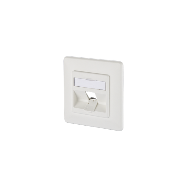 Modul wall outlet flush mounted 1 port unequipped pure white image 3