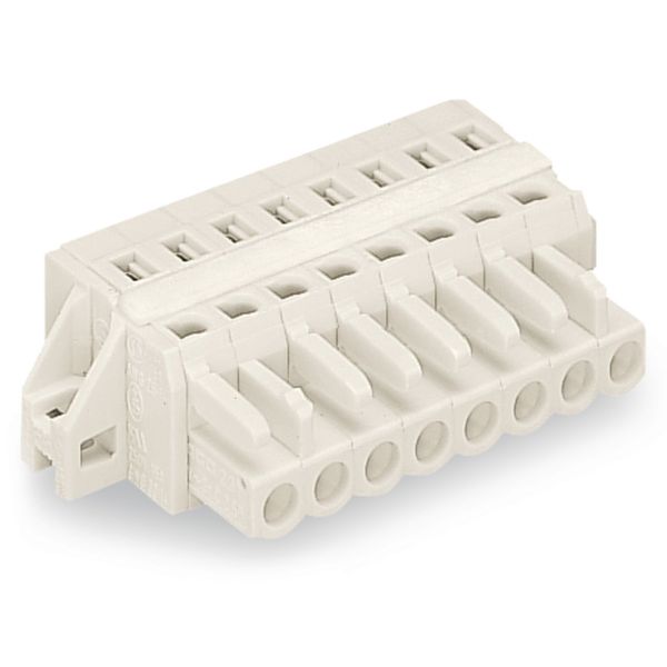 1-conductor female connector CAGE CLAMP® 2.5 mm² light gray image 3