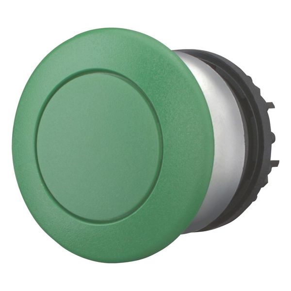 Mushroom actuator, RMQ-Titan, Mushroom, maintained, Mushroom green, green, Blank, Bezel: titanium image 4