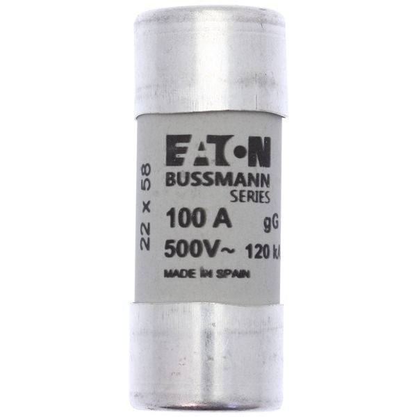 Fuse-link, LV, 100 A, AC 500 V, 22 x 58 mm, gL/gG, IEC image 2