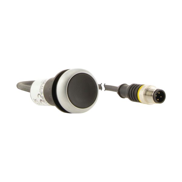 Pushbutton, Flat, momentary, 1 NC, Cable (black) with M12A plug, 4 pole, 0.5 m, black, Blank, Bezel: titanium image 17