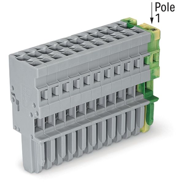 1-conductor female connector CAGE CLAMP® 4 mm² green-yellow/gray image 2