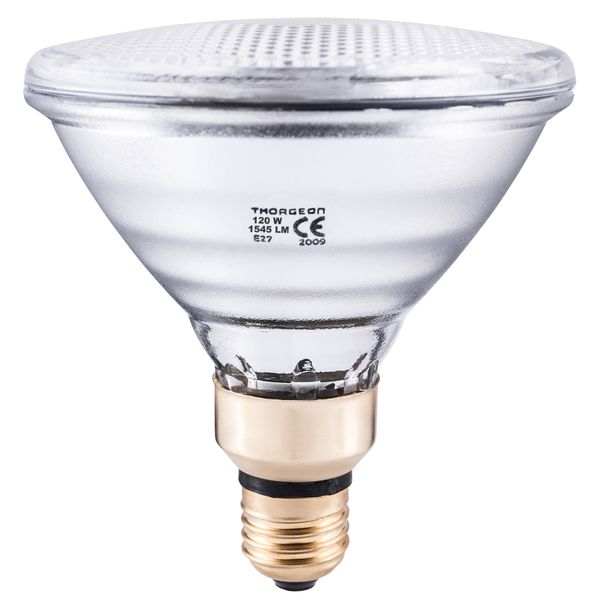 Halogen Lamp 120W E27 PAR38 115V 30° THORGEON image 1