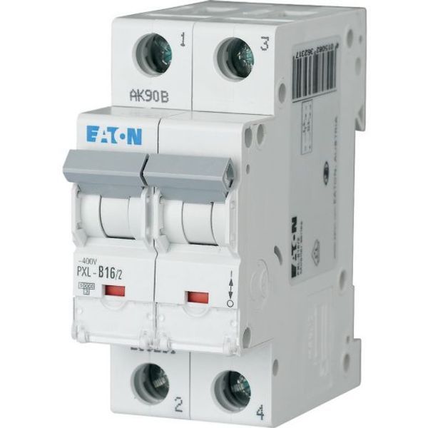 PXL-C16/2 Eaton Moeller series xPole - PXL MCB image 1