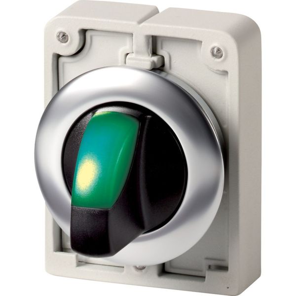 Illuminated selector switch actuator, RMQ-Titan, with thumb-grip, momentary, 2 positions, green, Front ring stainless steel image 3