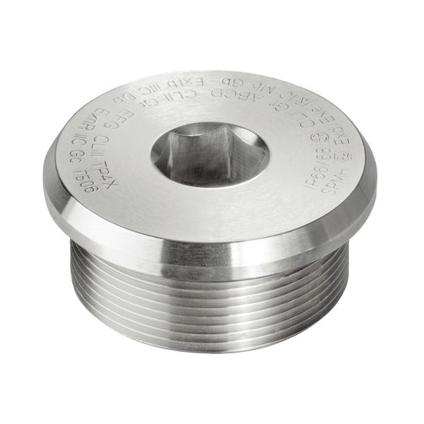 Ex sealing plugs (metal), M 50, 16 mm, Stainless steel 1.4404 (316L) image 1