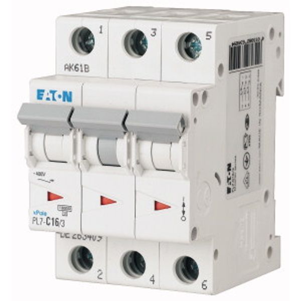 PL7-C1,5/3 Small circuit breaker, 10kA 3p (instead of 278859) image 2