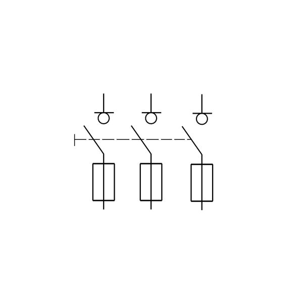 ARROW R, D02, 3-pole for 60mm busbar-system, 25A complete image 6