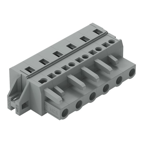 1-conductor female connector CAGE CLAMP® 2.5 mm² gray image 1