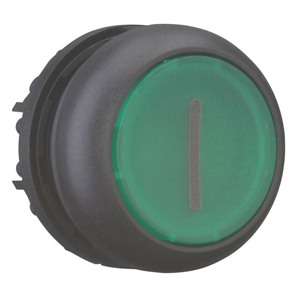 Illuminated pushbutton actuator, RMQ-Titan, Flush, maintained, green, inscribed, Bezel: black image 13