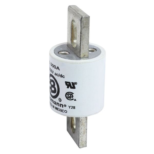 Class T Fuse Block  - 300V image 15