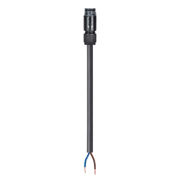 CABLE ASSEMBLY RST08I3/2KSB- 75 L 40SG image 1