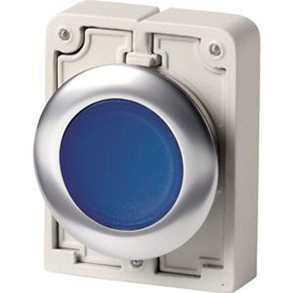 Illuminated pushbutton actuator, RMQ-Titan, flat, momentary, Blue, blank, Front ring stainless steel image 1