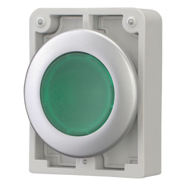 Illuminated pushbutton actuator, RMQ-Titan, Flat, maintained, green, Blank, Metal bezel image 10