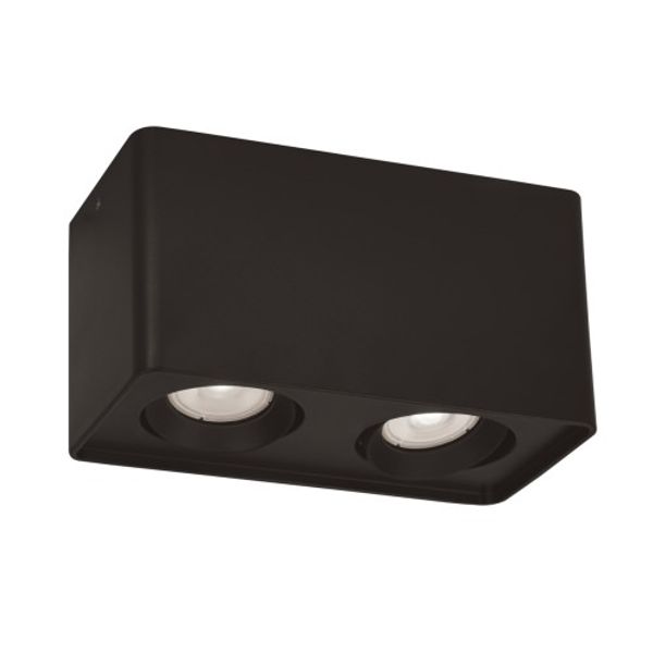 2/L Ceiling Light Black Arion image 1