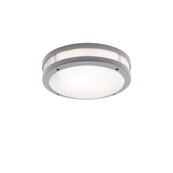 Outdoor Ceiling Lamp Silver Chios image 1