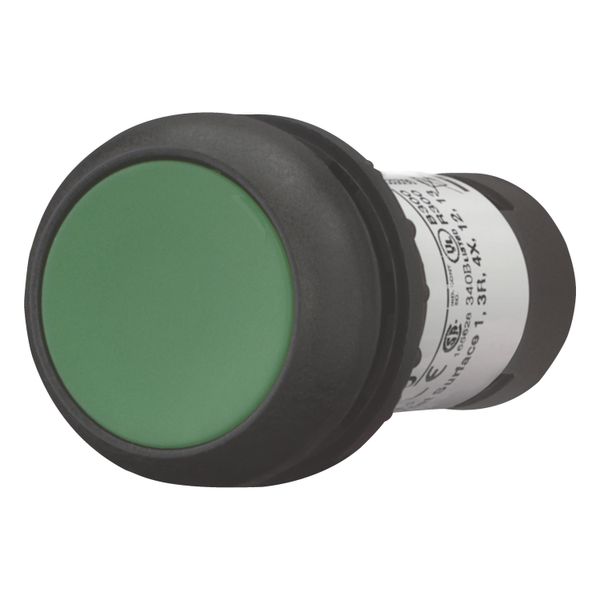 Pushbutton, Flat, momentary, 1 N/O, Screw connection, green, Blank, Bezel: black image 2