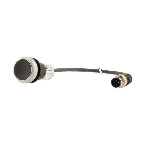 Pushbutton, Flat, momentary, 1 NC, Cable (black) with M12A plug, 4 pole, 0.5 m, black, Blank, Bezel: titanium image 15