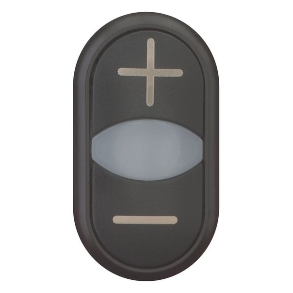 Double actuator pushbutton, RMQ-Titan, Actuators and indicator lights non-flush, momentary, White lens, black, black, inscribed, Bezel: black image 4