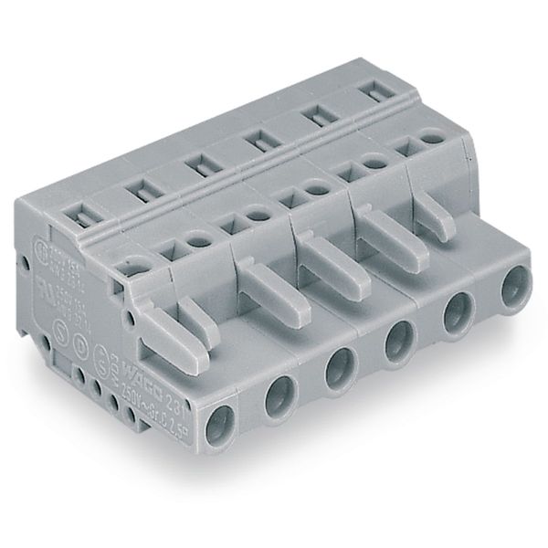 1-conductor female connector CAGE CLAMP® 2.5 mm² gray image 4