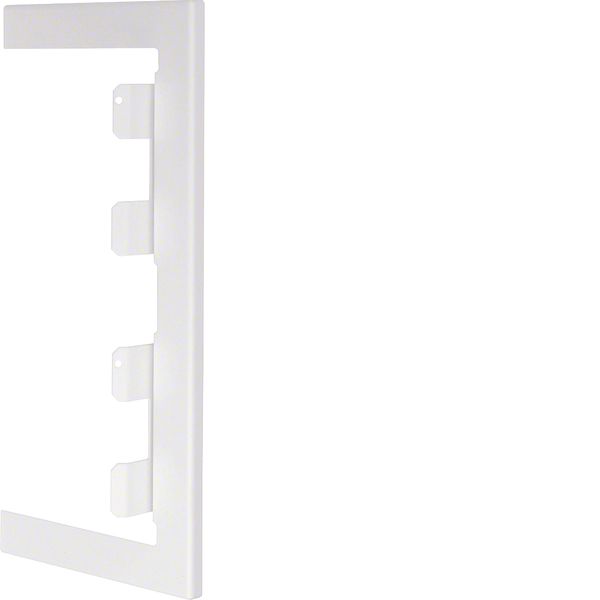 Wall cover plate for BRS 100x210mm lid 2x80mm of sheet steel in pure w image 1