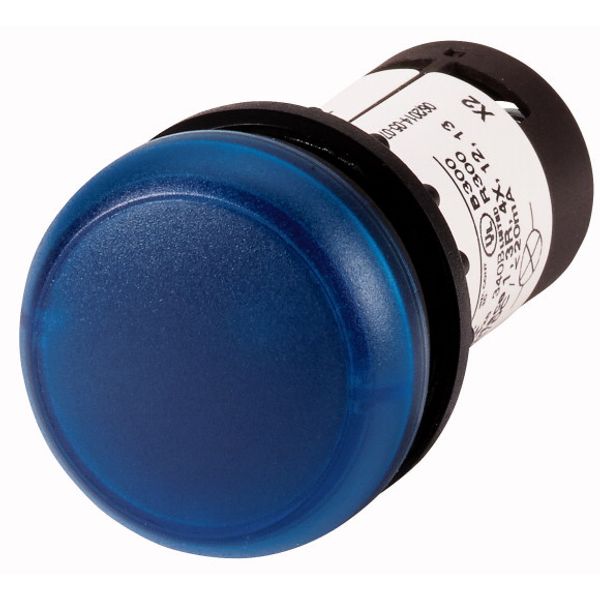 Indicator light, Flat, Screw connection, Lens Blue, LED Blue, 230 V AC image 1