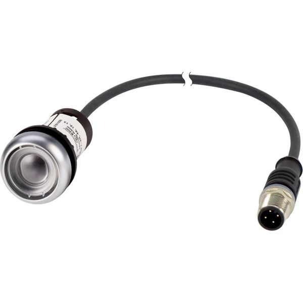 Pushbutton, Flat, momentary, 1 N/O, Cable (black) with M12A plug, 4 pole, 0.2 m, Without button plate, Bezel: titanium image 3