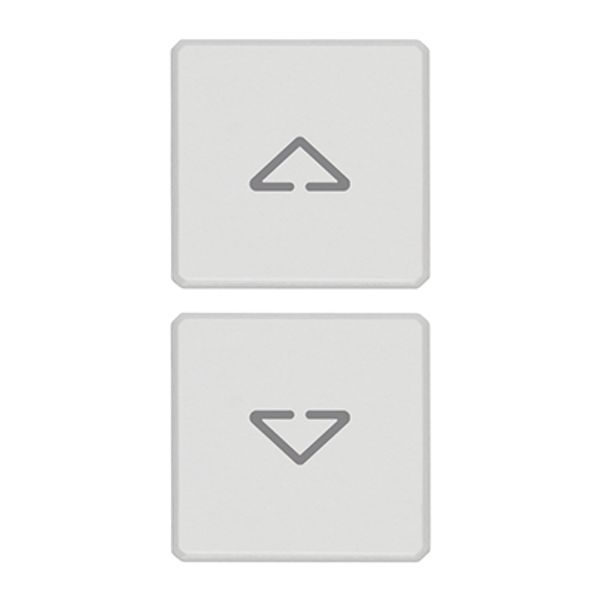2 buttons Flat arrows symbol white image 1