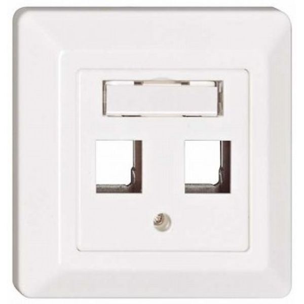 Outlet empty 2 module (SFA)(SFB), 80x80mm, straight, RAL9010 image 1