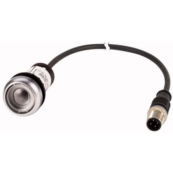 Pushbutton, Flat, momentary, 1 NC, Cable (black) with M12A plug, 4 pole, 0.2 m, Without button plate, Bezel: titanium image 1