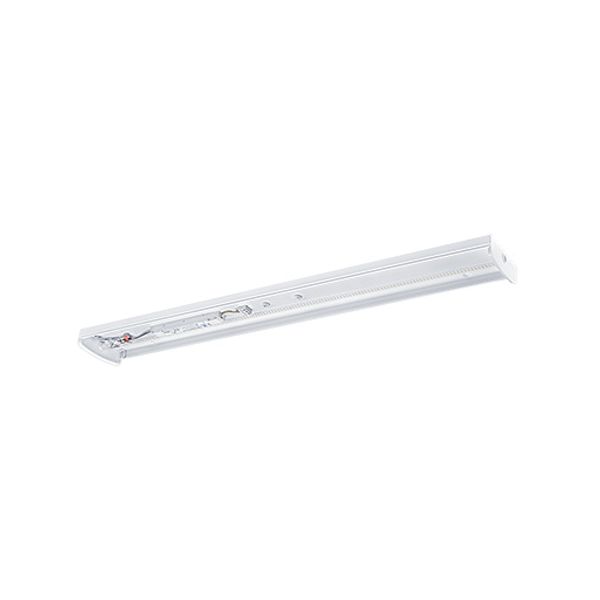 IP44 LED Diffuser luminaire image 3