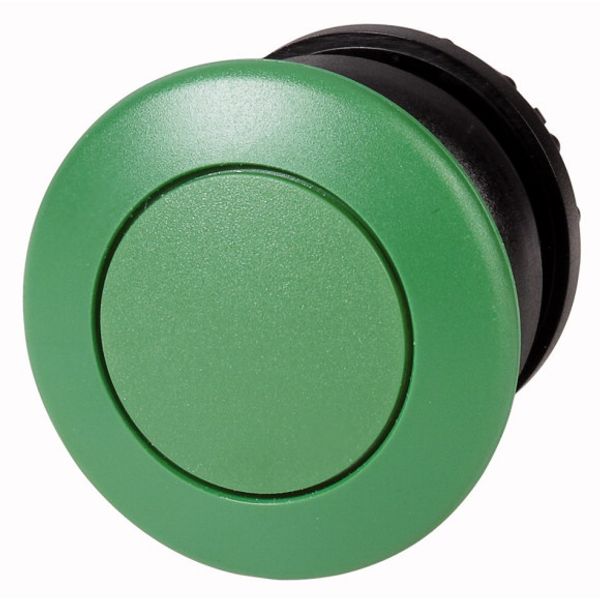 Mushroom actuator, RMQ-Titan, Mushroom, maintained, Mushroom green, green, Blank, Bezel: black image 1