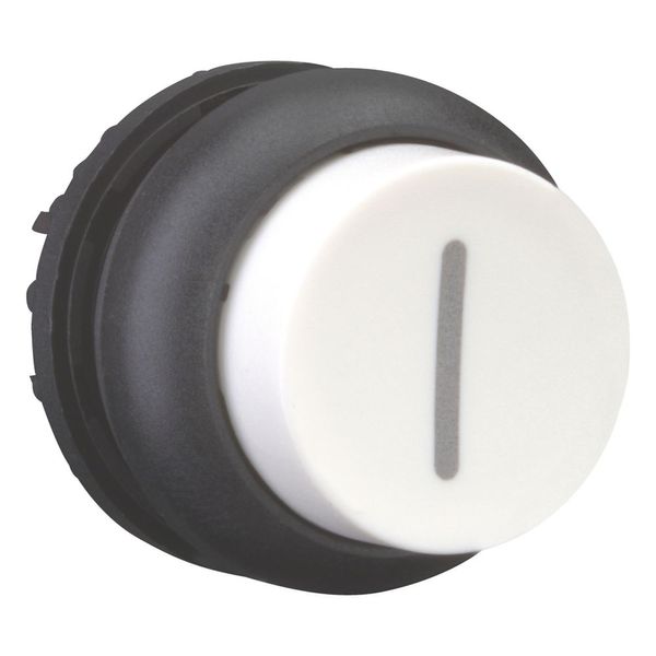 Pushbutton, RMQ-Titan, Extended, momentary, White, inscribed, Bezel: black image 6