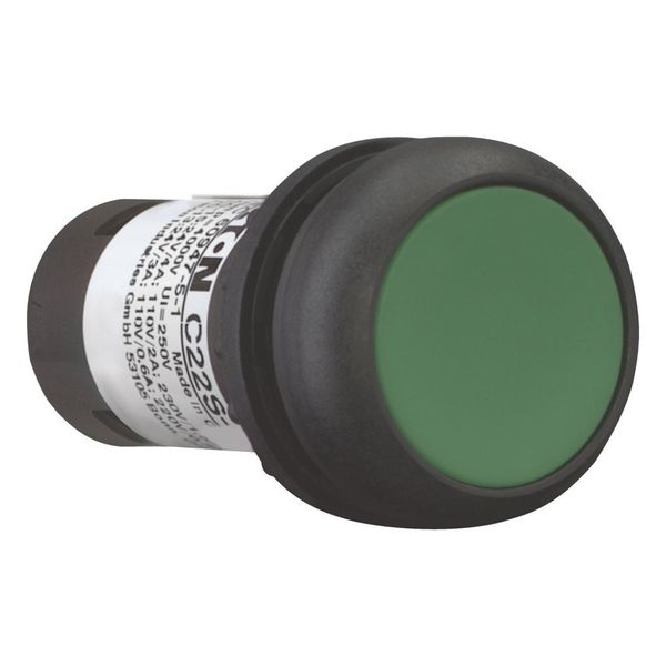 Pushbutton, Flat, momentary, 1 N/O, Screw connection, green, Blank, Bezel: black image 12