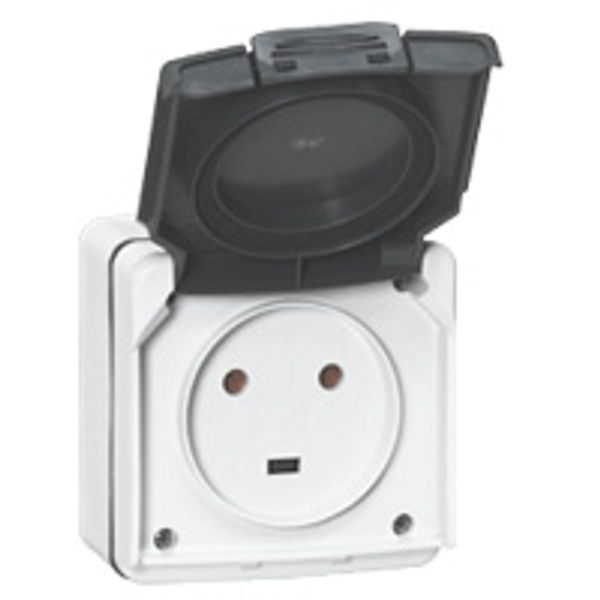 Socket outlet Plexo IP 55 - 20 A - 2P+E - 230 V~ - surface mounting - grey image 1