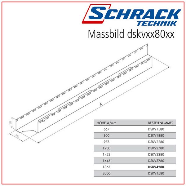 Cablemanagement vertical f.800 wide DS/DSZ/DSI-enclosure 32U image 2