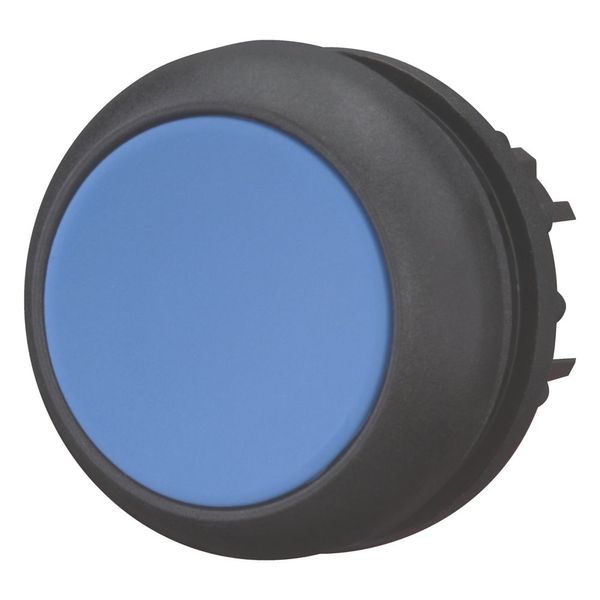 Pushbutton, RMQ-Titan, Flat, maintained, Blue, Blank, Bezel: black image 10