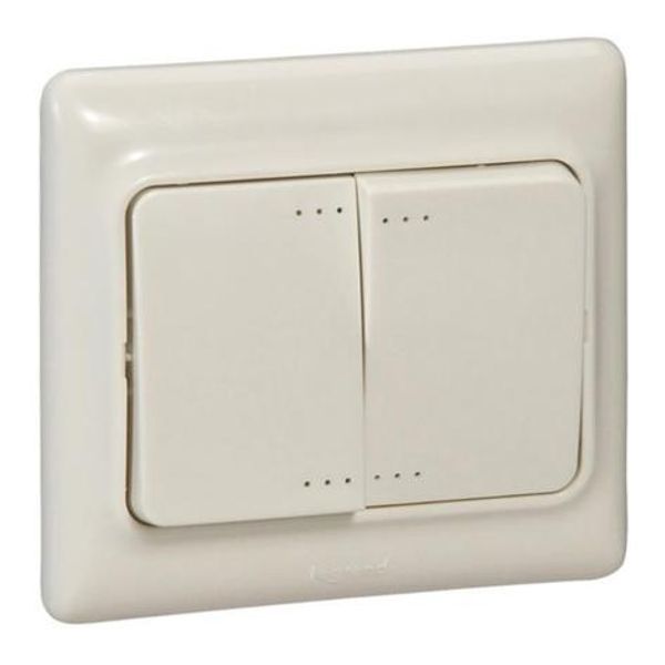 Kaptika - Double two-way switch - flush mounting - 10 AX 250 V~ - Ivory image 1